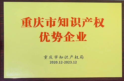 重庆市知识产权优势企业