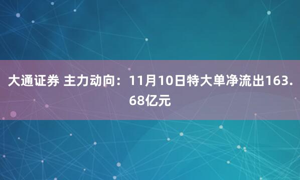 大通证券 主力动向：11月10日特大单净流出163.68亿元