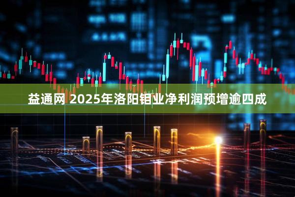 益通网 2025年洛阳钼业净利润预增逾四成