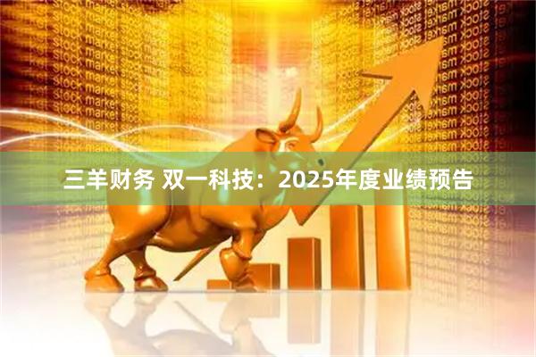 三羊财务 双一科技：2025年度业绩预告