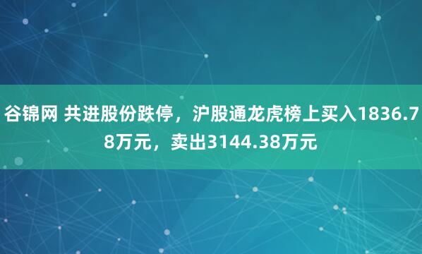 谷锦网 共进股份跌停，沪股通龙虎榜上买入1836.78万元，卖出3144.38万元