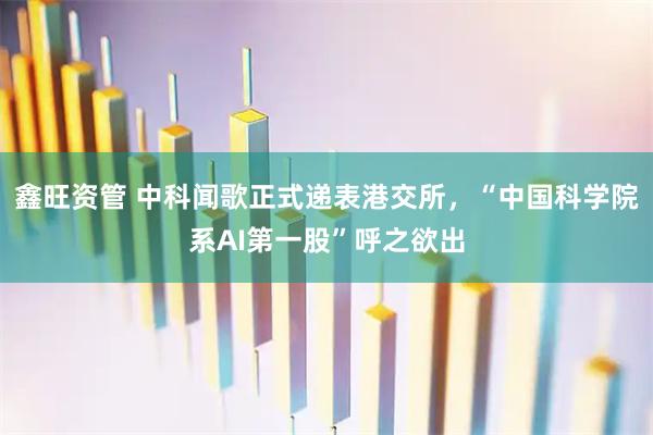 鑫旺资管 中科闻歌正式递表港交所，“中国科学院系AI第一股”呼之欲出